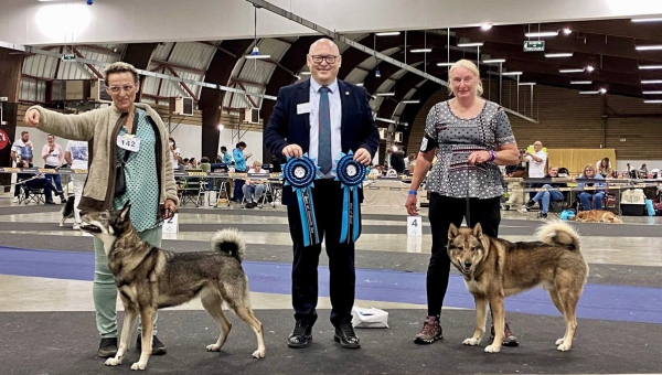 Nationale d'Elevage 2021 Club Français Chien Nordique